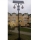 Автономный парковый фонарь 10 Вт (опора 4,5 метра)